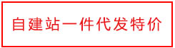 自建站一件代发特价
